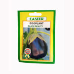 Eggplant Seeds, Black Beauty -5g